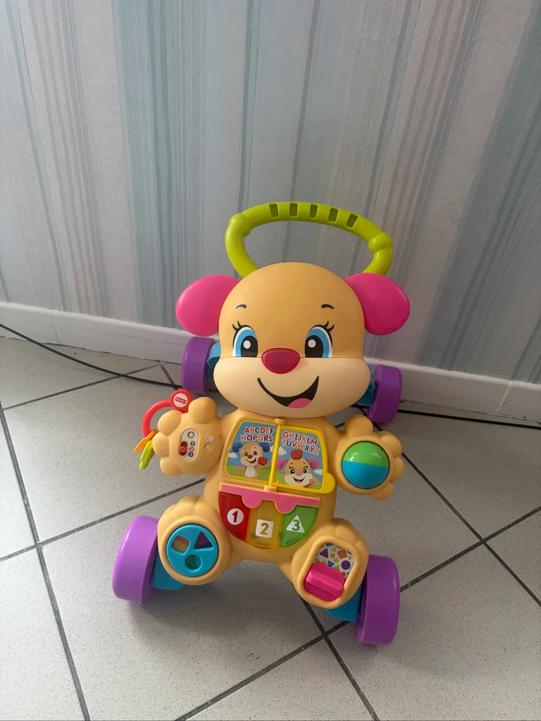 Pousse pousse Fisher price